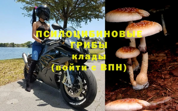 эйфоретик Семёнов