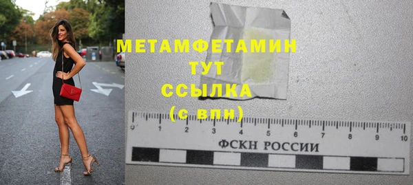 прущие грибы Семикаракорск