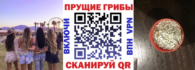 кракен как зайти  Котово  Псилоцибиновые грибы GOLDEN TEACHER  как найти наркотики 