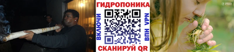наркотики  Котово  Канабис Ganja 
